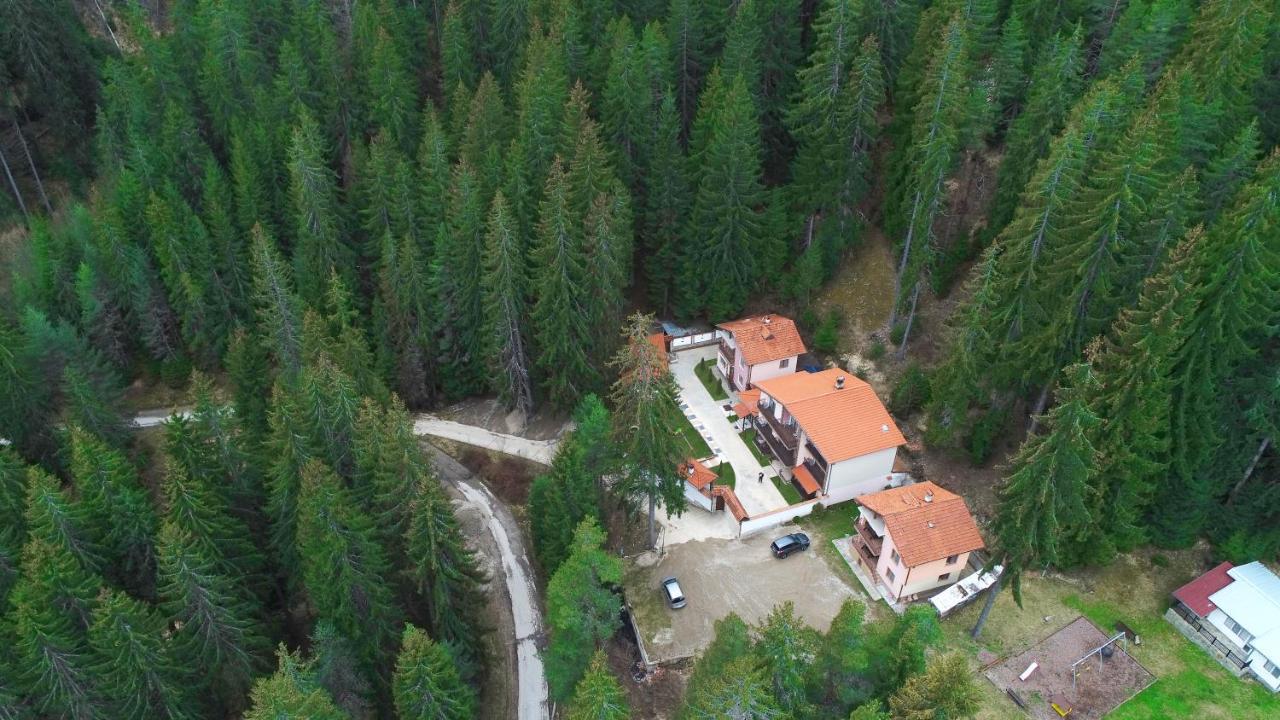 Ивелия Къща За Гости Dospat Exteriör bild